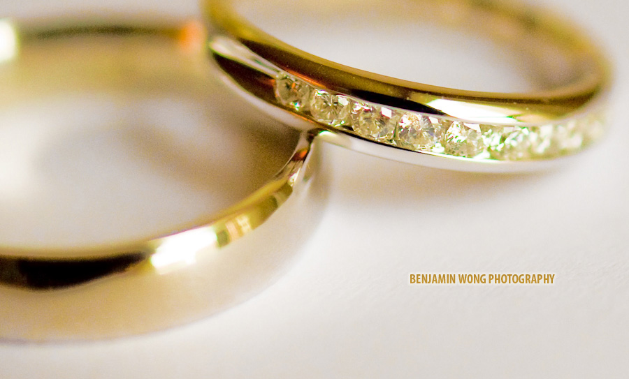 sblog001-bridge-view-2009-03-11-110011-pm