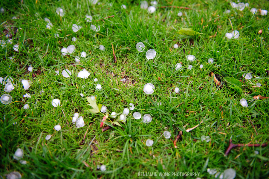 sblog001-_bw27855nef-20090509-ultimate sblog001-_bw27855nef-20090509-ultimate